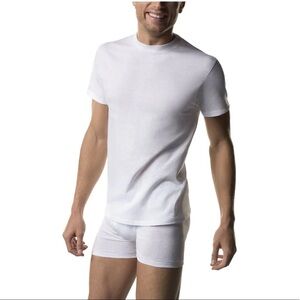 Hanes 3 Pack Tagless T-Shirt